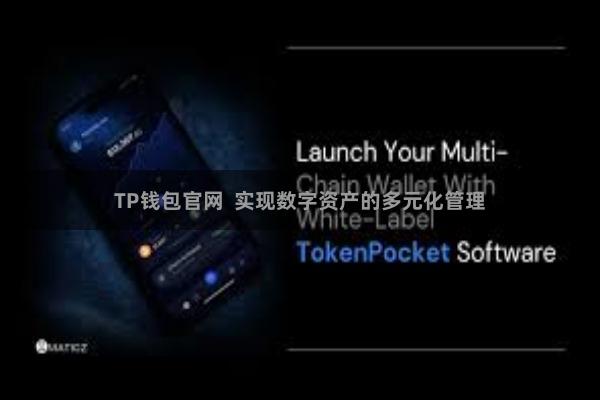 TP钱包官网 实现数字资产的多元化管理
