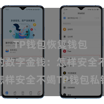 TP钱包恢复钱包 保护你的数字金钱：怎样安全不竭TP钱包私钥