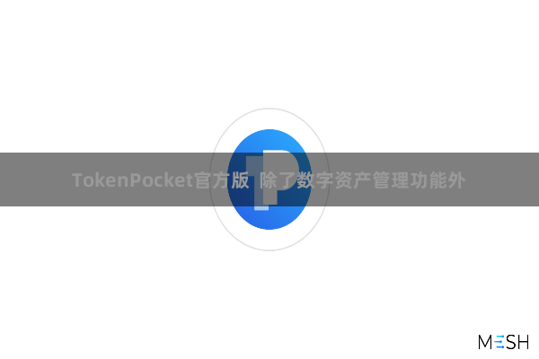 TokenPocket官方版  除了数字资产管理功能外